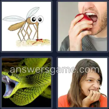 4 Pics 1 Word 6 Letters BITERS