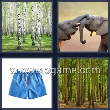 4 Pics 1 Word 6 Letters TRUNKS