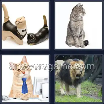 4 Pics 1 Word 6 Letters TOMCAT