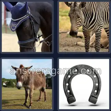 4 Pics 1 Word 6 Letters EQUINE
