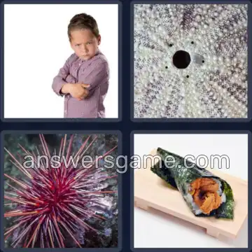 4 Pics 1 Word 6 Letters URCHIN