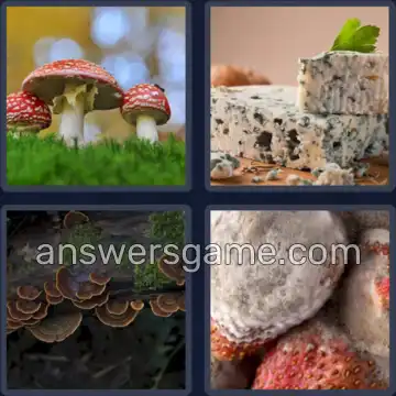 4 Pics 1 Word 6 Letters FUNGUS