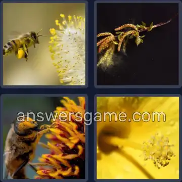 4 Pics 1 Word 6 Letters POLLEN
