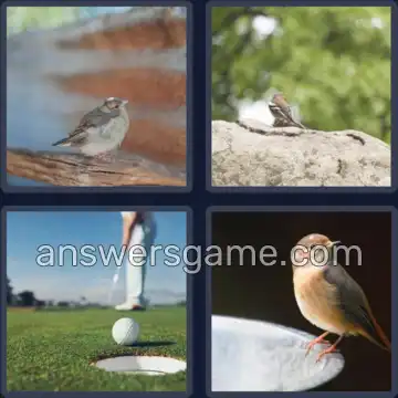4 Pics 1 Word 6 Letters BIRDIE