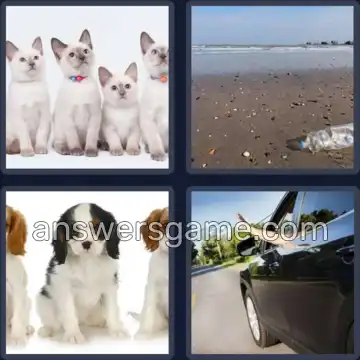 4 Pics 1 Word 6 Letters LITTER