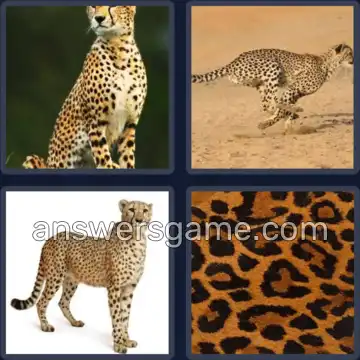 4 Pics 1 Word 7 Letters CHEETAH