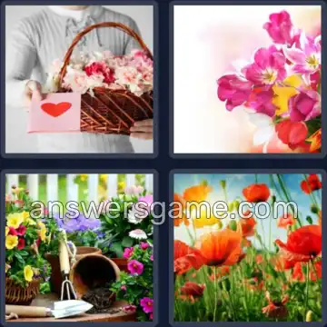 4 Pics 1 Word 7 Letters FLOWERS