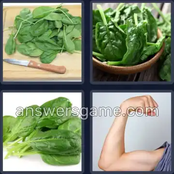 4 Pics 1 Word 7 Letters SPINACH