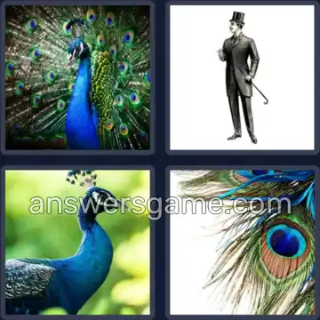 4 Pics 1 Word 7 Letters PEACOCK