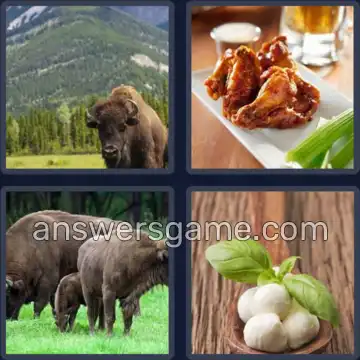 4 Pics 1 Word 7 Letters BUFFALO