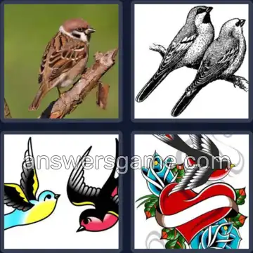 4 Pics 1 Word 7 Letters SPARROW