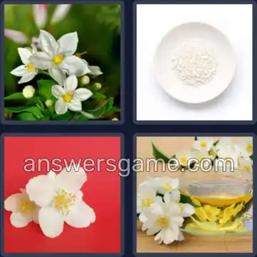 4 Pics 1 Word 7 Letters JASMINE
