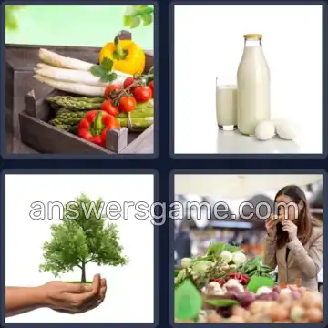4 Pics 1 Word 7 Letters ORGANIC