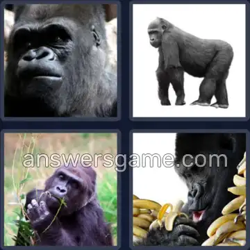 4 Pics 1 Word 7 Letters GORILLA