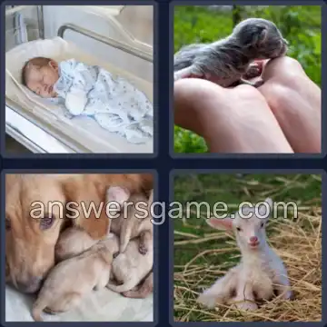 4 Pics 1 Word 7 Letters NEWBORN