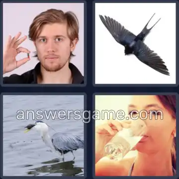 4 Pics 1 Word 7 Letters SWALLOW