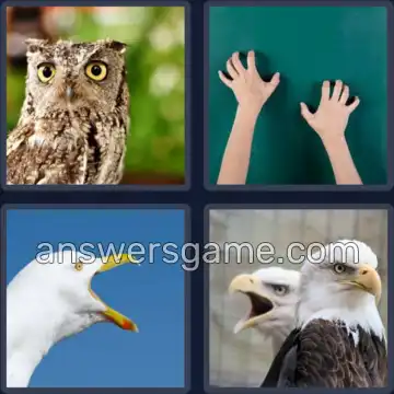 4 Pics 1 Word 7 Letters SCREECH