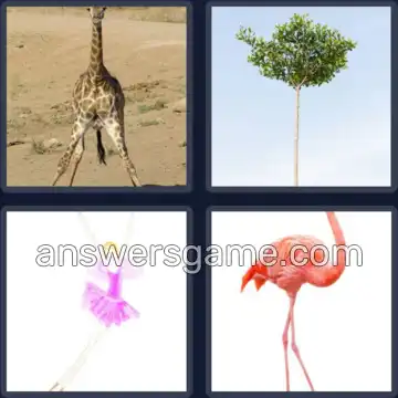 4 Pics 1 Word 7 Letters SPINDLY