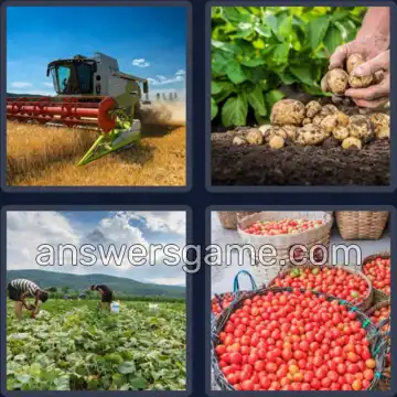 4 Pics 1 Word 7 Letters HARVEST