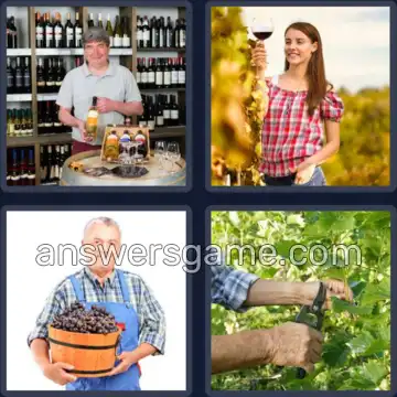 4 Pics 1 Word 7 Letters VINTNER