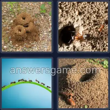 4 Pics 1 Word 7 Letters ANTHILL
