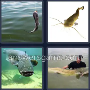 4 Pics 1 Word 7 Letters CATFISH
