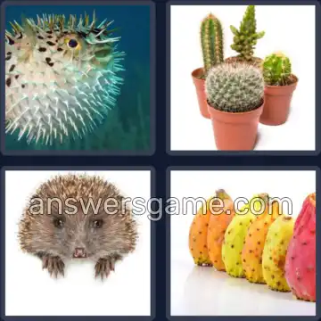4 Pics 1 Word 7 Letters PRICKLY