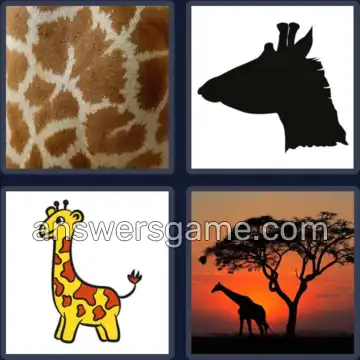 4 Pics 1 Word 7 Letters GIRAFFE