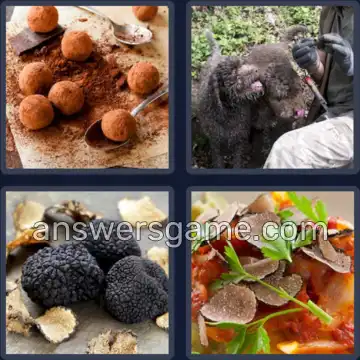 4 Pics 1 Word 7 Letters TRUFFLE