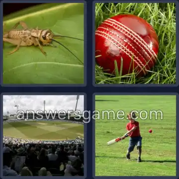 4 Pics 1 Word 7 Letters CRICKET