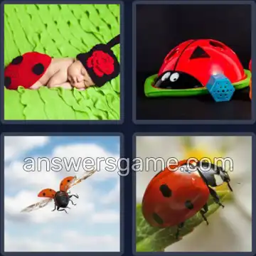 4 Pics 1 Word 7 Letters LADYBUG