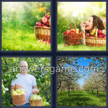 4 Pics 1 Word 7 Letters ORCHARD