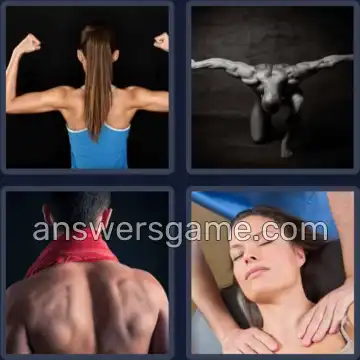 4 Pics 1 Word 8 Letters SHOULDER