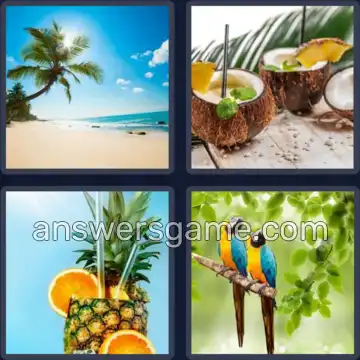 4 Pics 1 Word 8 Letters TROPICAL
