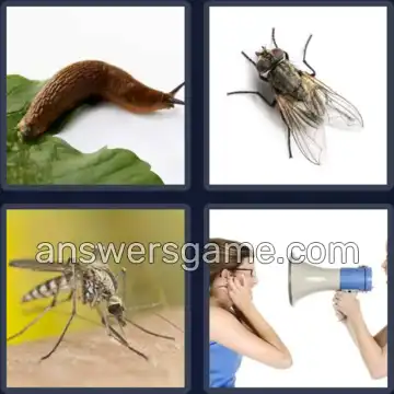 4 Pics 1 Word 8 Letters NUISANCE