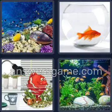 4 Pics 1 Word 8 Letters AQUARIUM