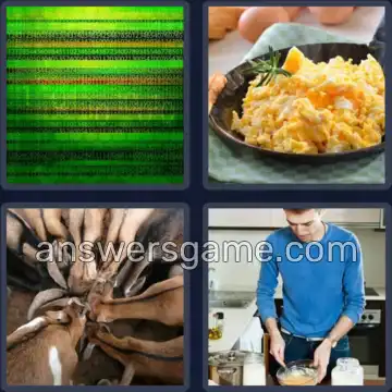 4 Pics 1 Word 8 Letters SCRAMBLE