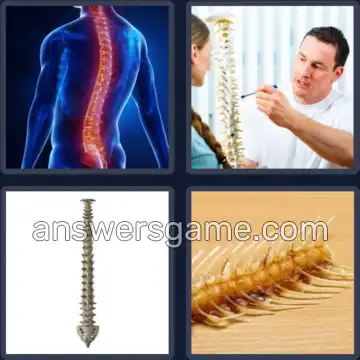 4 Pics 1 Word 8 Letters BACKBONE
