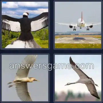 4 Pics 1 Word 8 Letters WINGSPAN