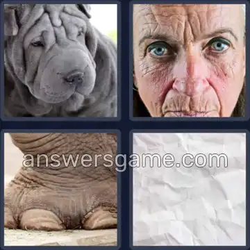 4 Pics 1 Word 8 Letters WRINKLED