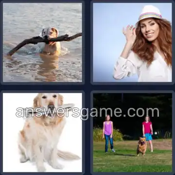 4 Pics 1 Word 8 Letters FETCHING