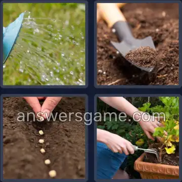 4 Pics 1 Word 8 Letters PLANTING