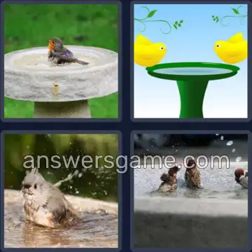 4 Pics 1 Word 8 Letters BIRDBATH