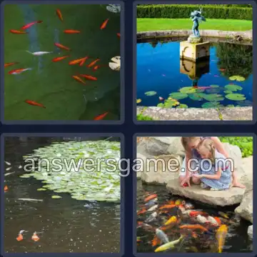 4 Pics 1 Word 8 Letters FISHPOND