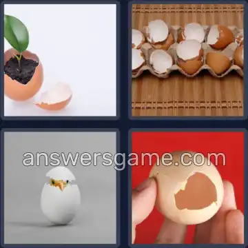 4 Pics 1 Word 8 Letters EGGSHELL