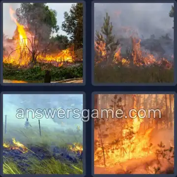 4 Pics 1 Word 8 Letters WILDFIRE