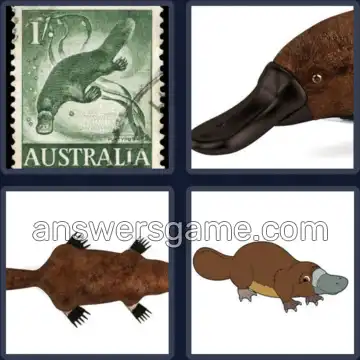 4 Pics 1 Word 8 Letters PLATYPUS