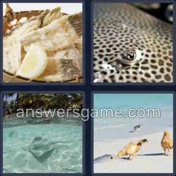 4 Pics 1 Word 8 Letters STINGRAY