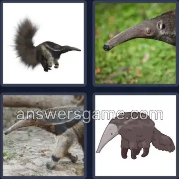 4 Pics 1 Word 8 Letters ANTEATER
