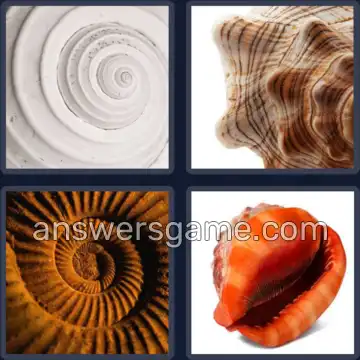 4 Pics 1 Word 8 Letters SEASHELL